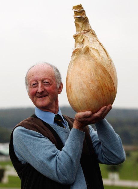 big-funny-onion.jpg