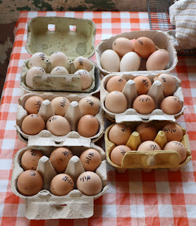Eggs in cartons Eggs in cartons