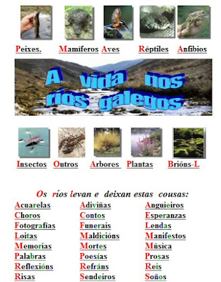 http://www.rios-galegos.com/