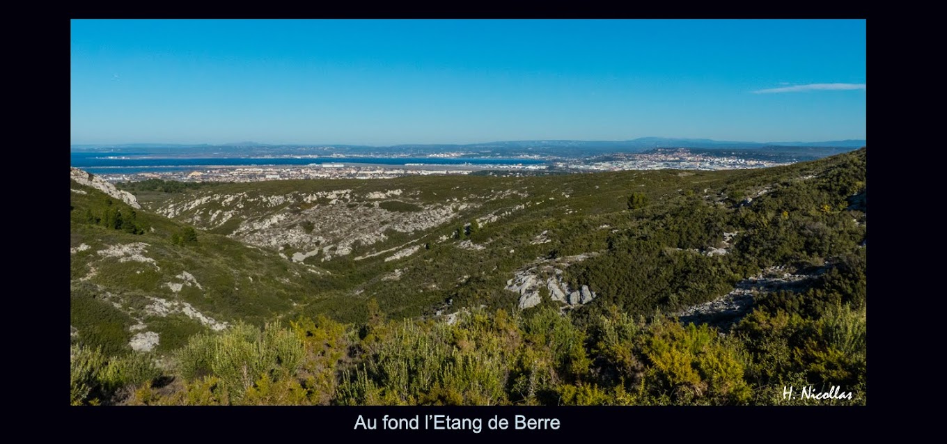 AU FOND ETANG