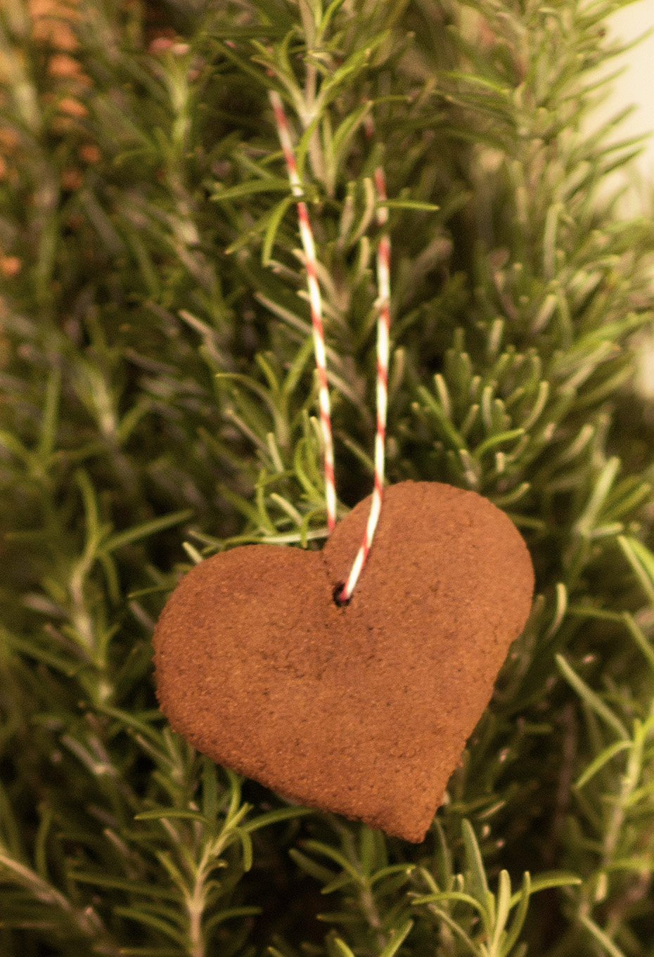 Apple Cinnamon Ornament Craft Apple Cinnamon Ornament Craft