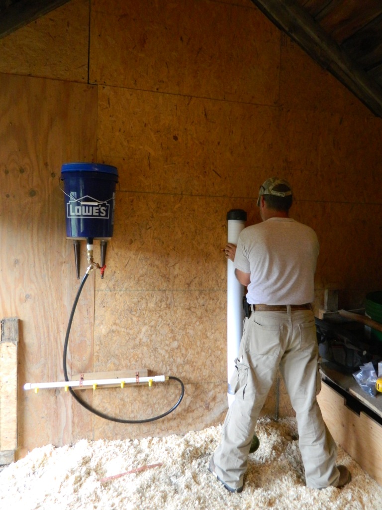 Meanwhile, back at the ranch... Gravityfed Poultry Watering System