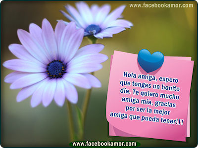 frases bonitas de amistad