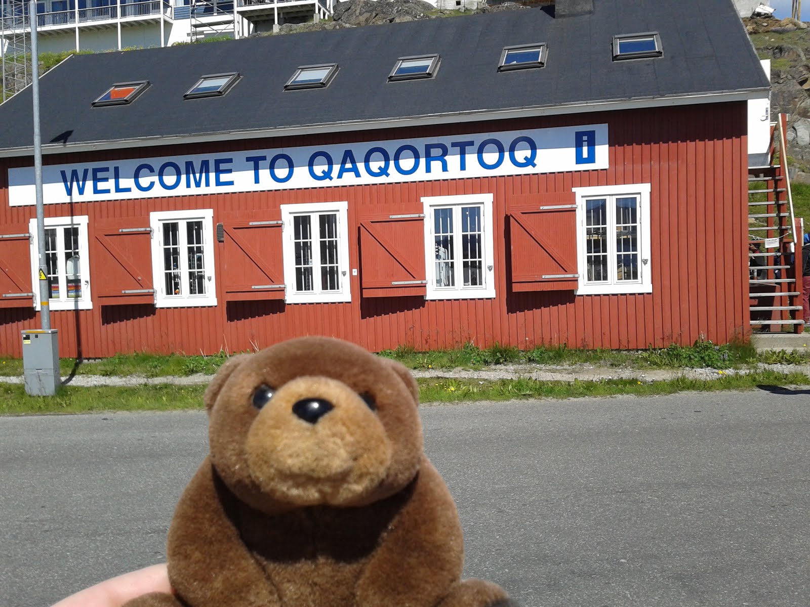 Teddy Bear in Greenland