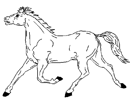 horses printable coloring pages