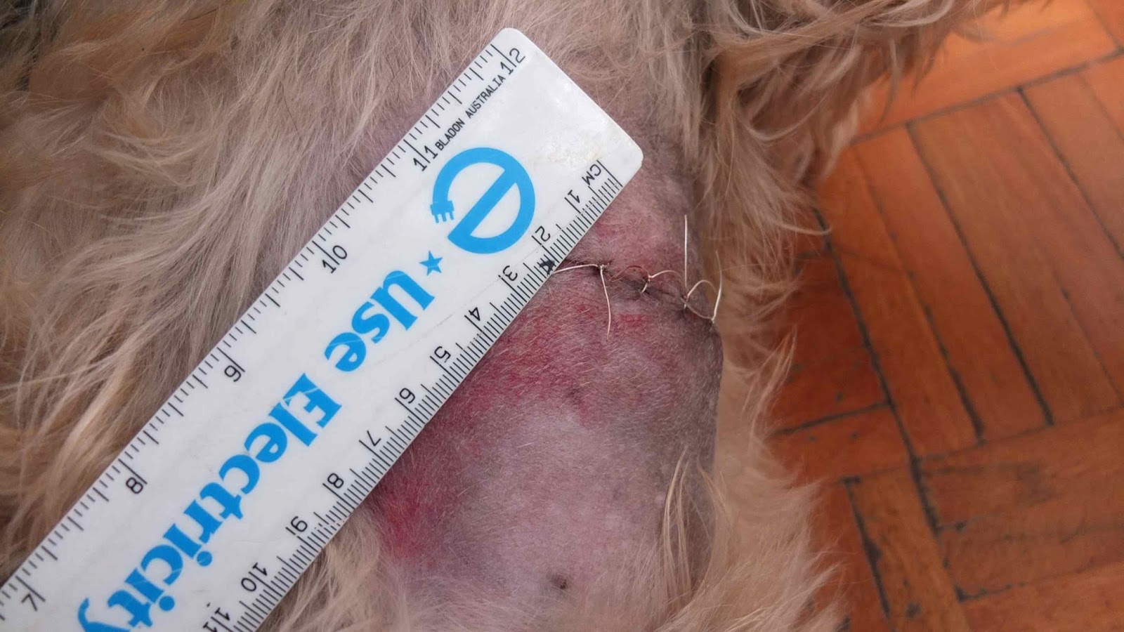 my dog clipper causes skin rash after surgery for lipoma