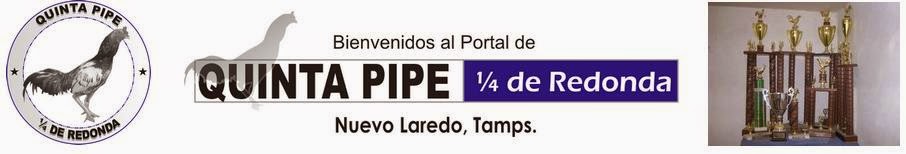 Bienvenidos al Portal Quinta El Pipe Contactanos