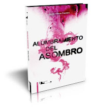 Alumbramiento del Asombro