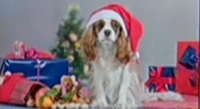 Https Www Bonifatiuskirche De Export Sites Bonifatius Duesseldorf Content Galleries Downloads Bon I D Bon I D 3 2014 Pdf