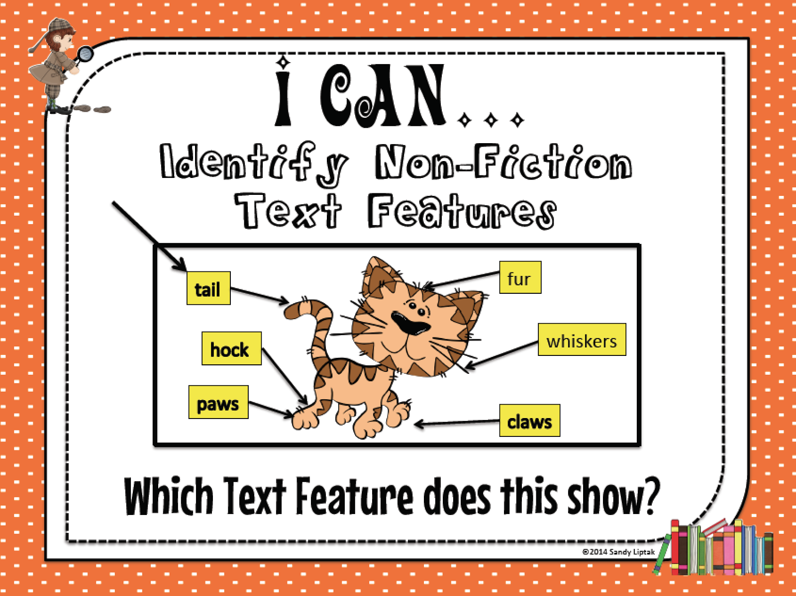 worksheet Text Feature Worksheets text features worksheet grade 2 worksheets printable