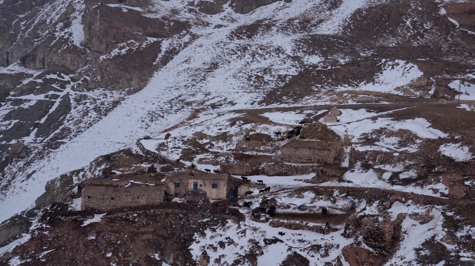 Ararat Restaurant Ve Kahvalti Salonu Dogubeyazit Restaurant Reviews