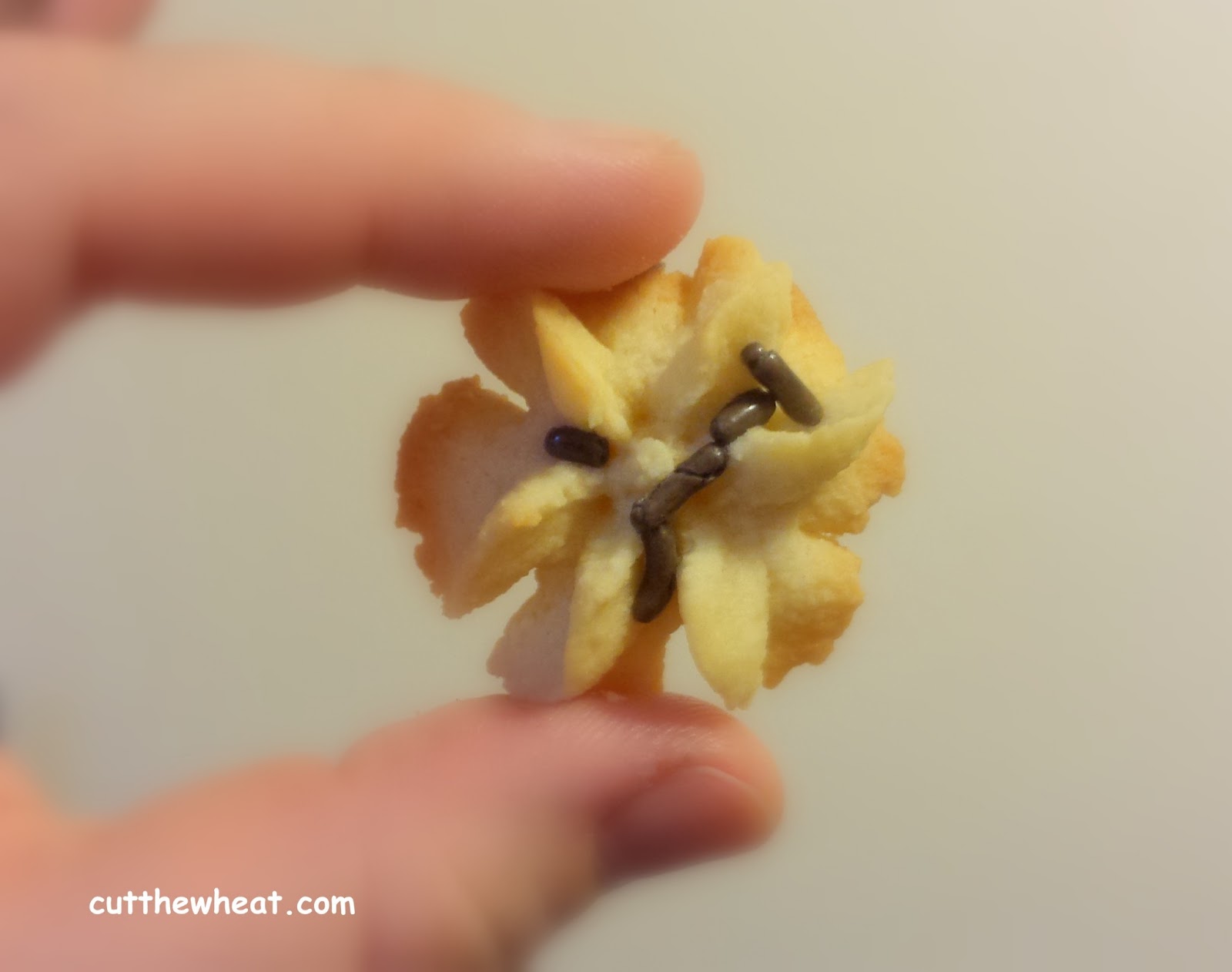Tiny Danish Butter Cookies Sugar Free, Gluten Free, Grain Free, Low
