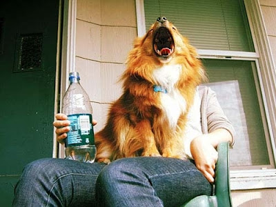 Great Examples Of Forced Perspective ~ PModels.blog Great Examples Of Forced Perspective