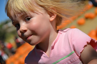 Little girl at the pumpkin patch