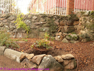 El jardín de la alegría : Árboles frutales.Consideraciones para