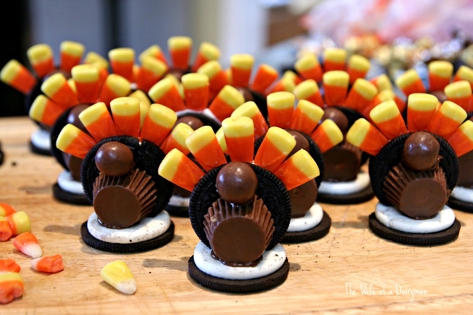 Thanksgiving videos to download Thanksgiving videos to download