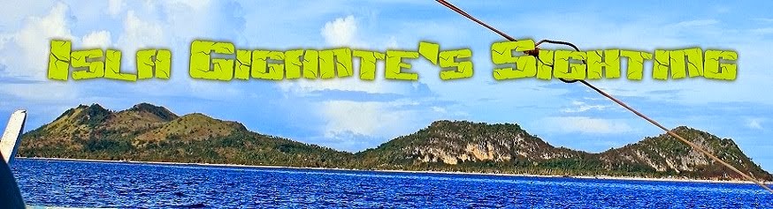 Isla Gigantes Carles, Iloilo