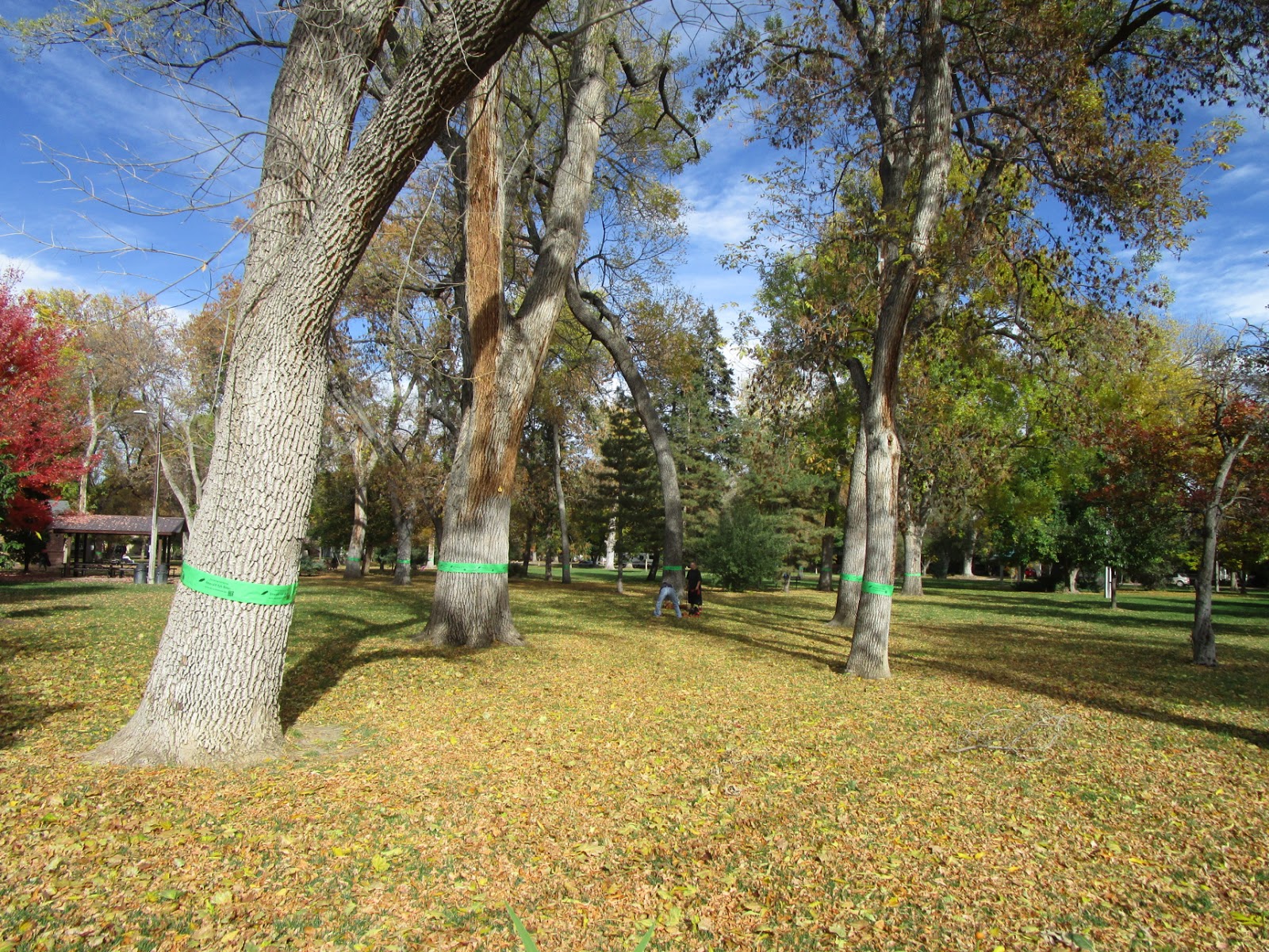 Observations about Longmont, Colorado Thompson Park and the Emerald