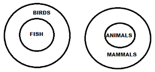 syllogism solution