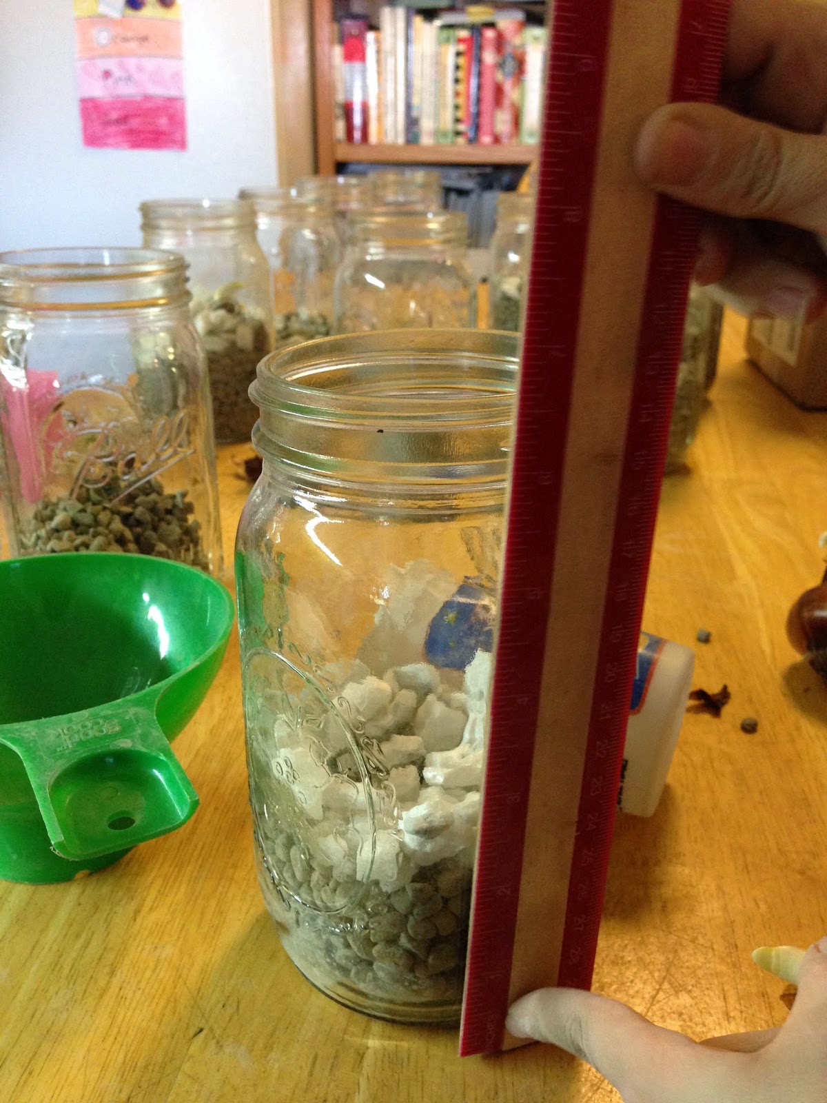 Neighbor Gift Idea: Paperwhites planted in Mason Jars