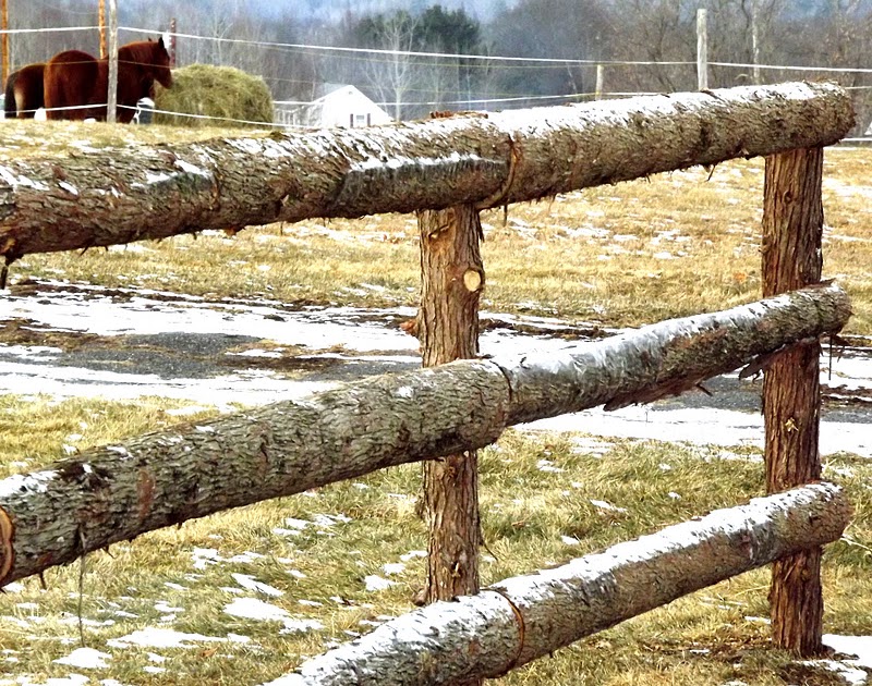 The Romantic Mom.com: Rustic Fence