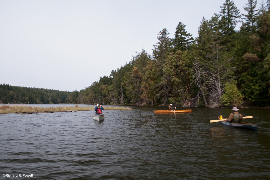 Vancouver Island River Fishing Regulations Vancouver Island River Fishing Regulations