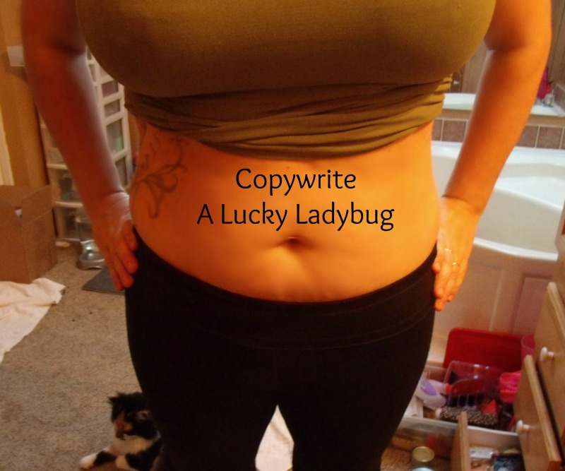 A Lucky Ladybug Flex Belt Review and Giveaway "Get Fit With Flex Belt"