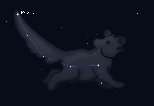 Sao Bắc Cực (Polaris) nằm trong chòm sao Tiểu Hùng. Hình ảnh mô phỏng bởi phần mềm Stellarium.