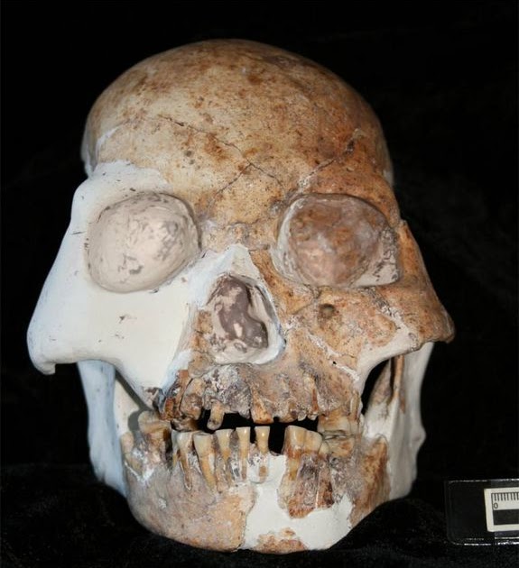 hominin-skull-cave-people.jpg