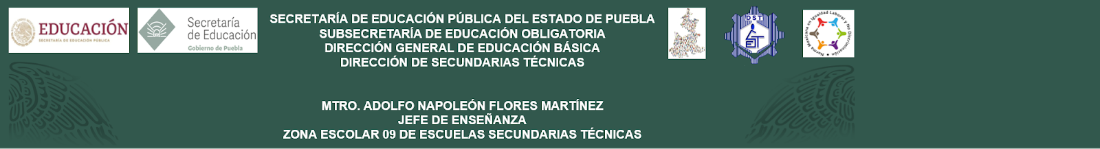 Jefe de Enseñanza Zona 09 Escuelas Secundarias Técnicas