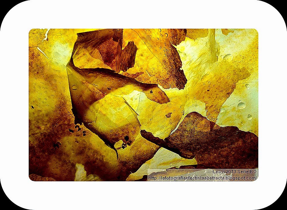 Foto Abstracta 3182 Canción de Otoño de los amores perdidos - Autumn Song of the lost loves Foto Abstracta 3182 Canción de Otoño de los amores perdidos - Autumn Song of the lost loves