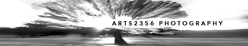 Arts 2356 Photography - Tarleton Digital Media Studies