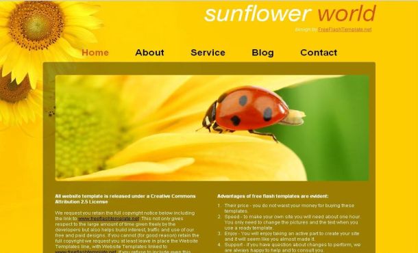 Free HTML Flowers White Yellow Website Template