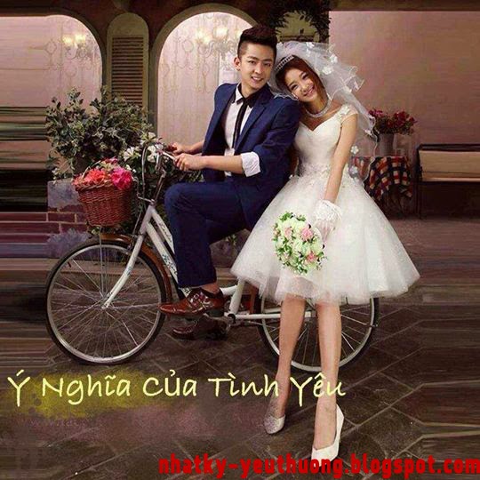 Giay dan tuong