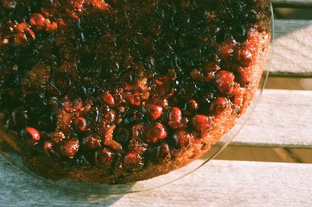 Cranberry Upside Down Cake on film