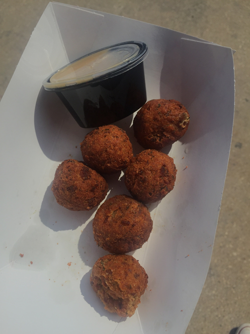 Wisconsin State Fair...all in the name of research. Midwest Mermaid