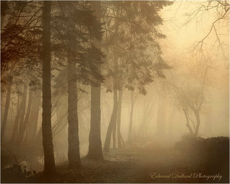 Emerging Photographers, Best Photo of the Day in Emphoka by Edward Dullard, https://flic.kr/p/9dWJ4F Emerging Photographers, Best Photo of the Day in Emphoka by Edward Dullard, https://flic.kr/p/9dWJ4F