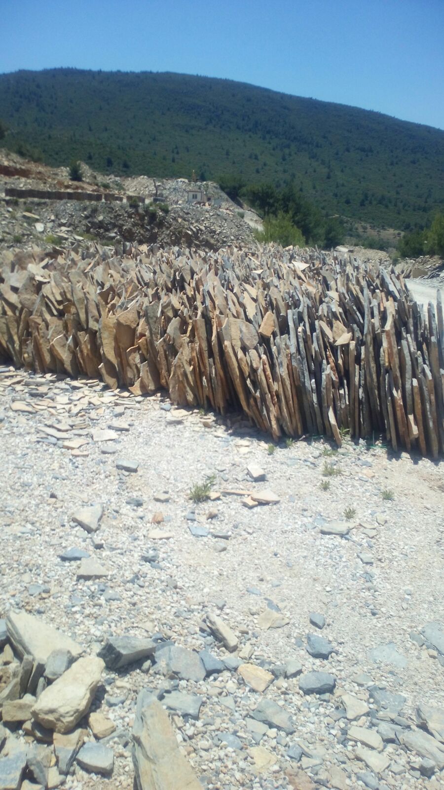 Bodrum Kayrak Tasi Bodrum Kayrak Tasi