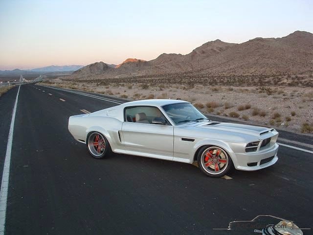 Custom Mustangs