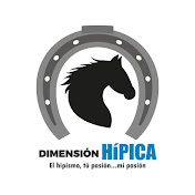 Dimensión Hípica