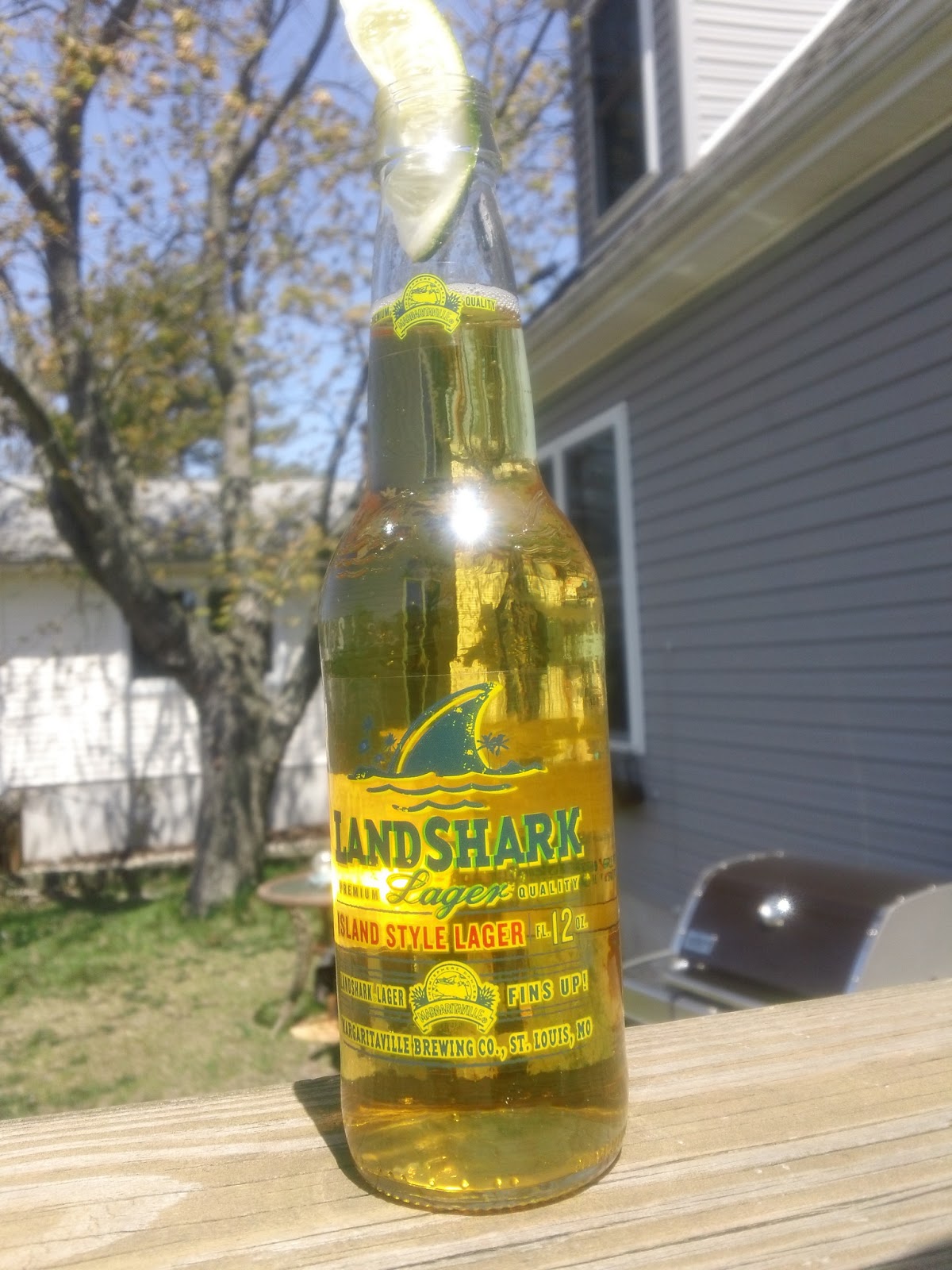 Celebrating the Suds Landshark Lager 10 Beers of Summer