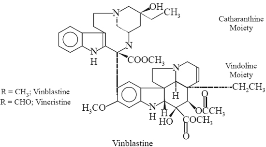 pharmacognosy and phytochemistry vin