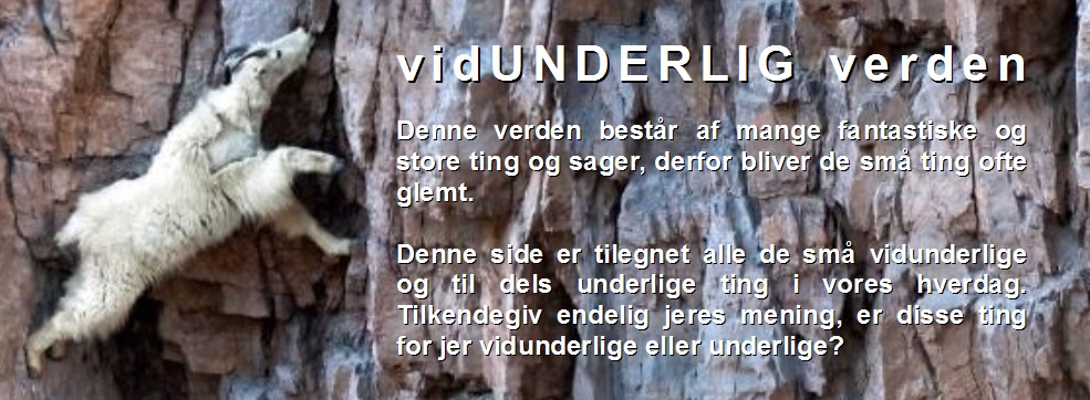 vidUNDERLIG verden