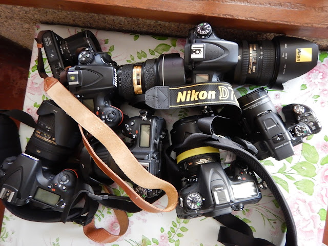 Nikon School On-Board Goes to Calauit Island in Palawan