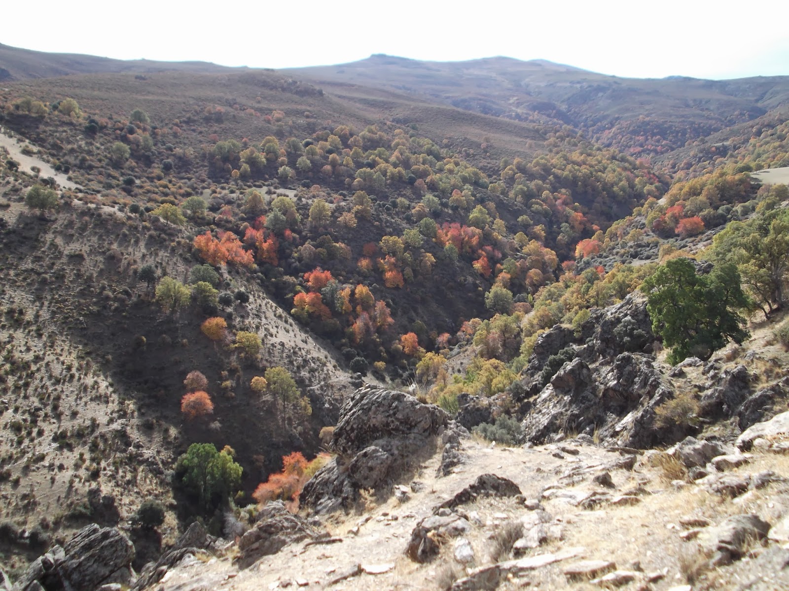Senderistadelaloma Ruta del Bosque Encantado (Granada) Dehesa del Camarate