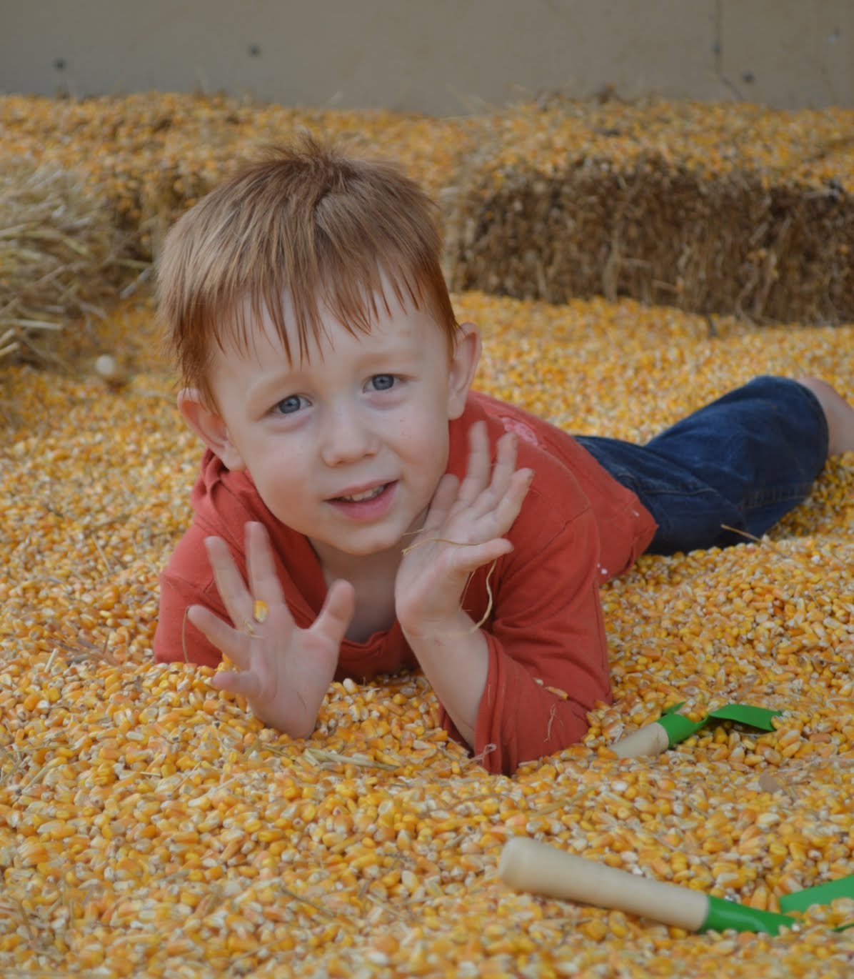 A jumping in a puddle of corn