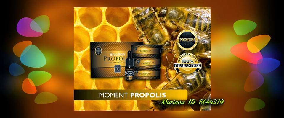 Moment Propolis