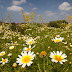 Fotografiar Menorca en primavera