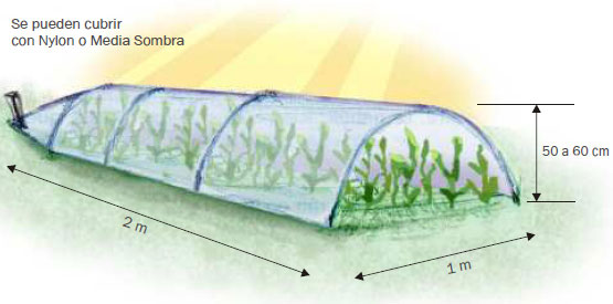 Educación Tecnológica Invernáculos