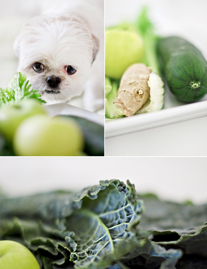 Green Juice Recipe (Dog Friendly!) Chic Sprinkles